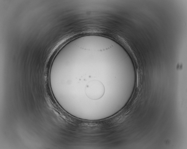 X0000111900435200907271014