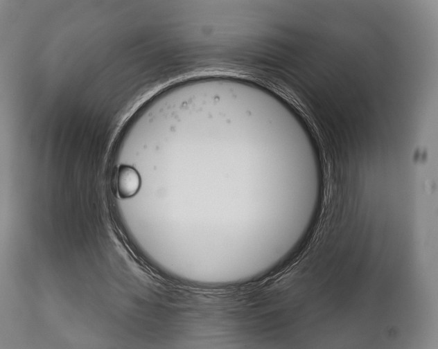 X0000111900436200907271014