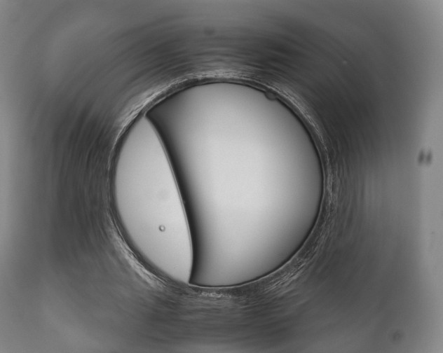 X0000111900437200907271014
