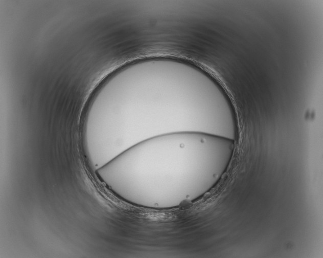 X0000111900439200907271014