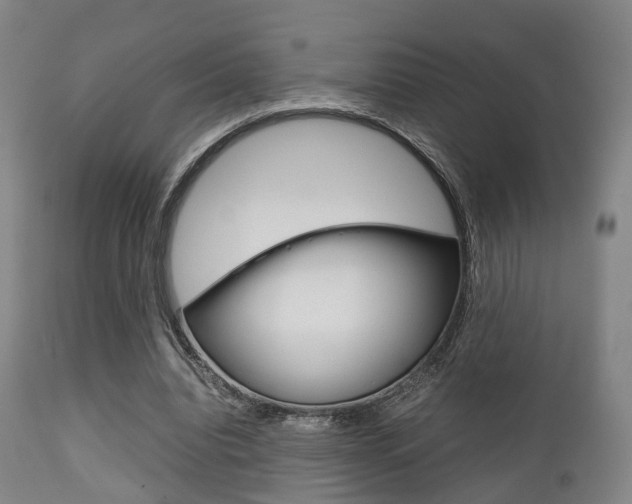 X0000111900440200907271014