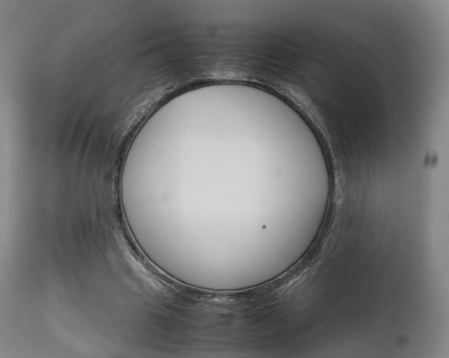 X0000111900441200907271014
