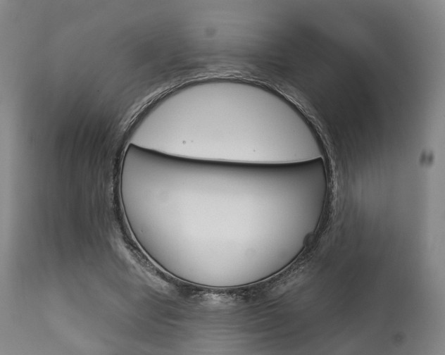 X0000111900442200907271014