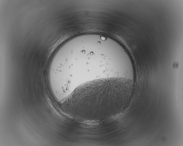 X0000111900443200907271014