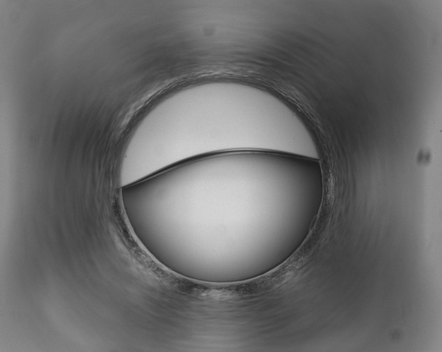 X0000111900444200907271014