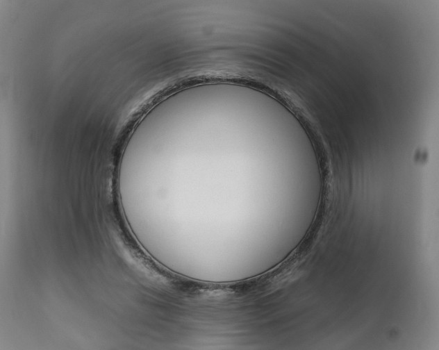 X0000111900446200907271014