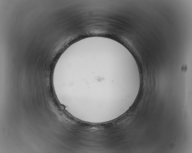 X0000111900447200907271014