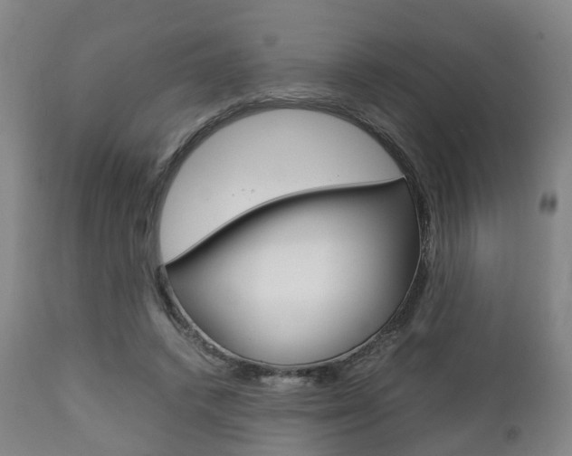 X0000111900448200907271014