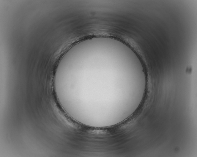 X0000111900449200907271014