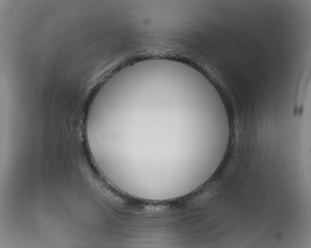 X0000111900450200907271014
