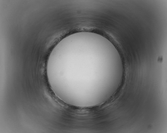 X0000111900451200907271014