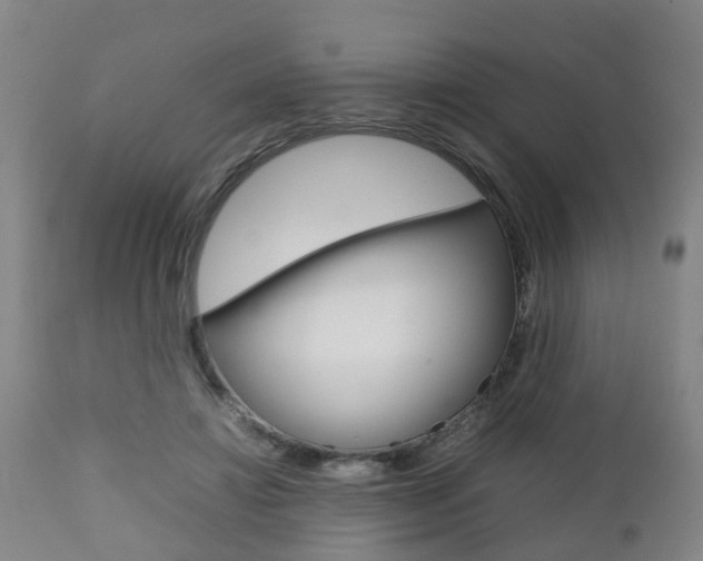 X0000111900452200907271014
