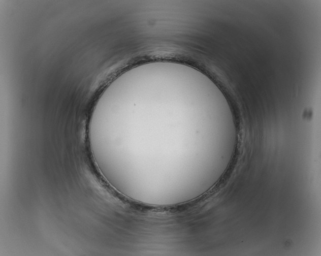 X0000111900454200907271014