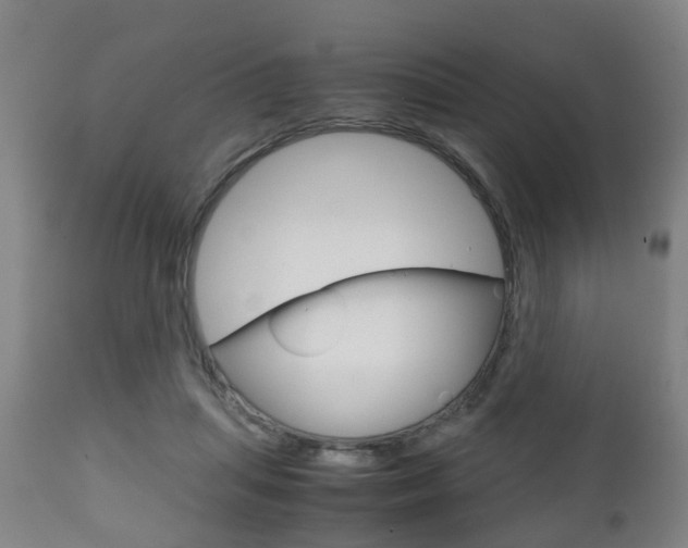 X0000111900455200907271014