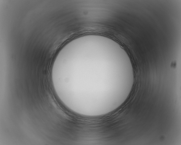 X0000111900456200907271014