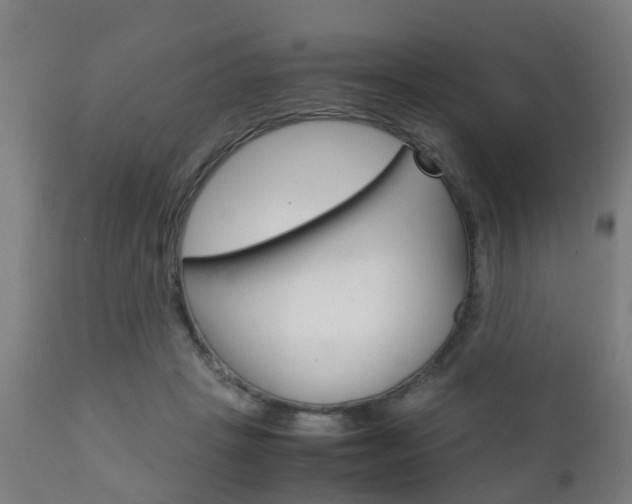 X0000111900457200907271014