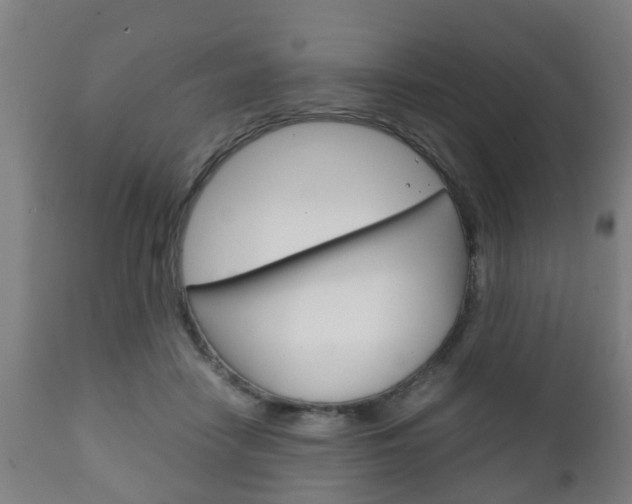 X0000111900458200907271014
