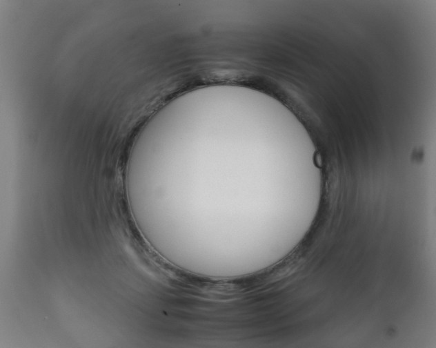 X0000111900459200907271014