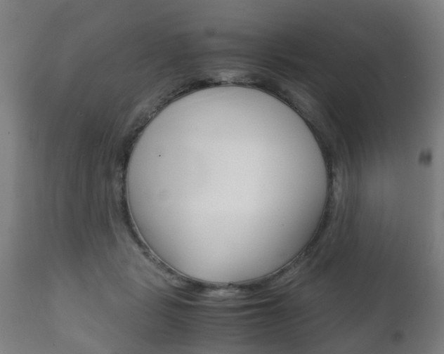 X0000111900461200907271015