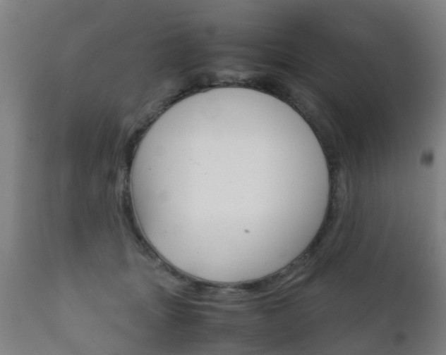 X0000111900463200907271015