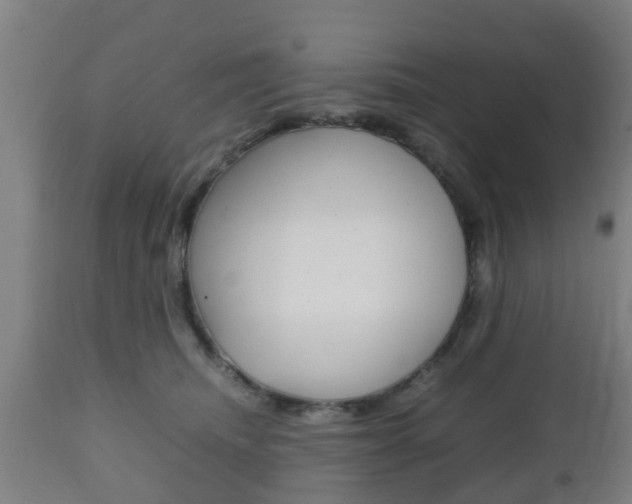 X0000111900468200907271015