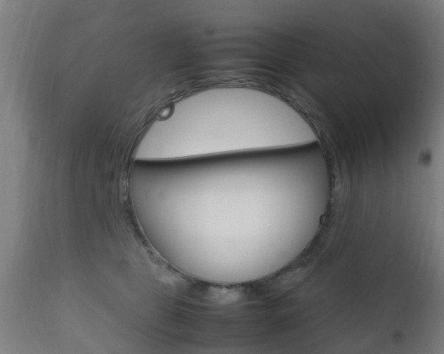 X0000111900469200907271015