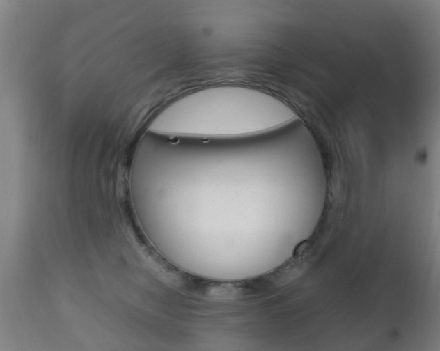 X0000111900470200907271015