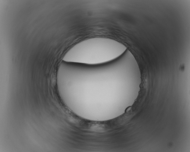 X0000111900471200907271015