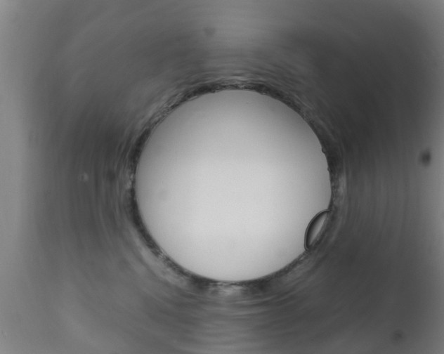 X0000111900472200907271015