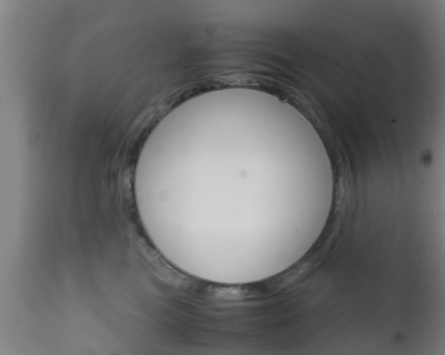 X0000111900473200907271015