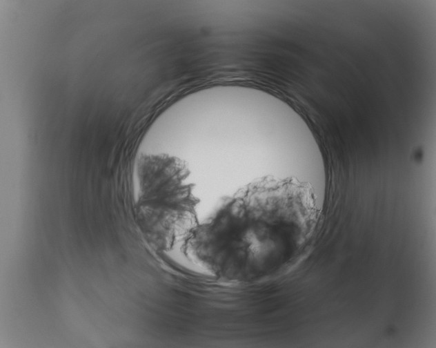 X0000111900475200907271015