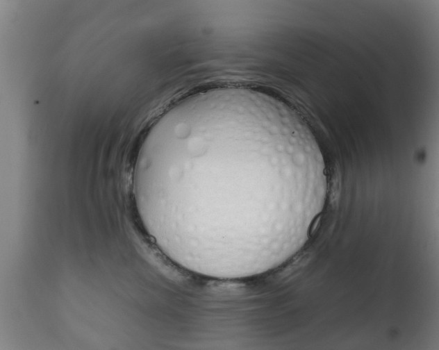 X0000111900476200907271015