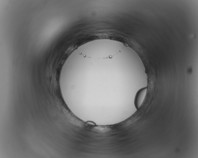X0000111900477200907271015