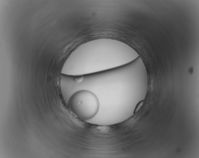 X0000111900478200907271015