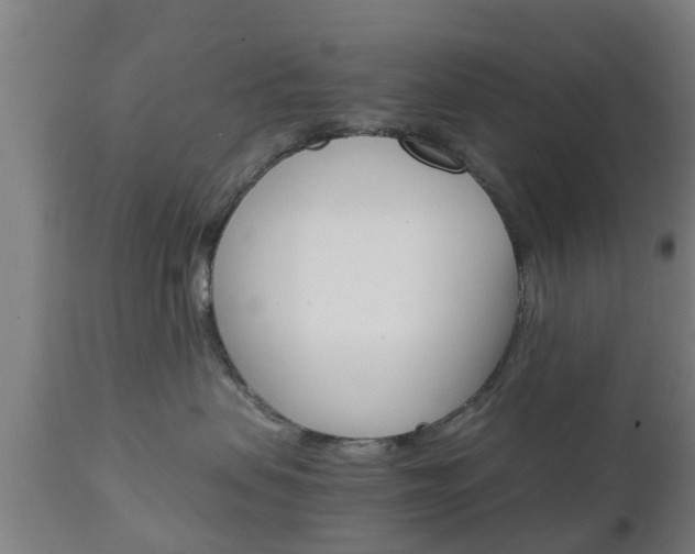 X0000111900479200907271015