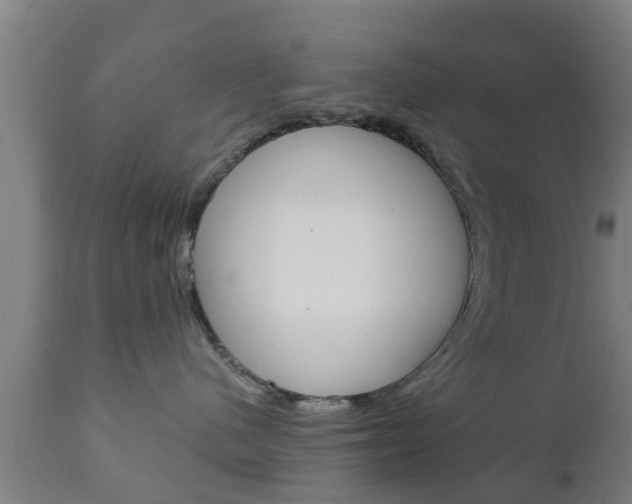 X0000111900480200907271015