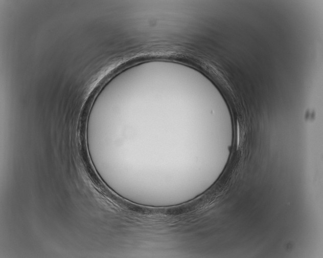 X0000111900483200907271014