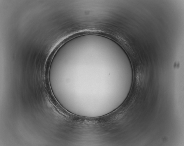 X0000111900484200907271014