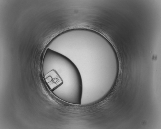 X0000111900485200907271014