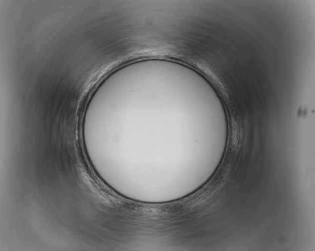X0000111900486200907271014