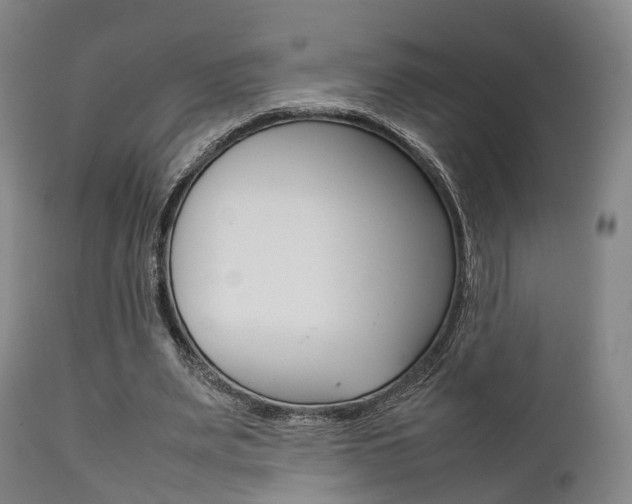 X0000111900487200907271014
