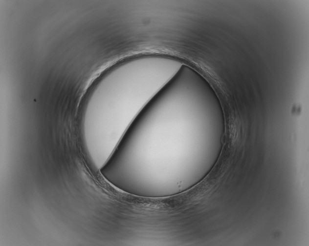 X0000111900488200907271014