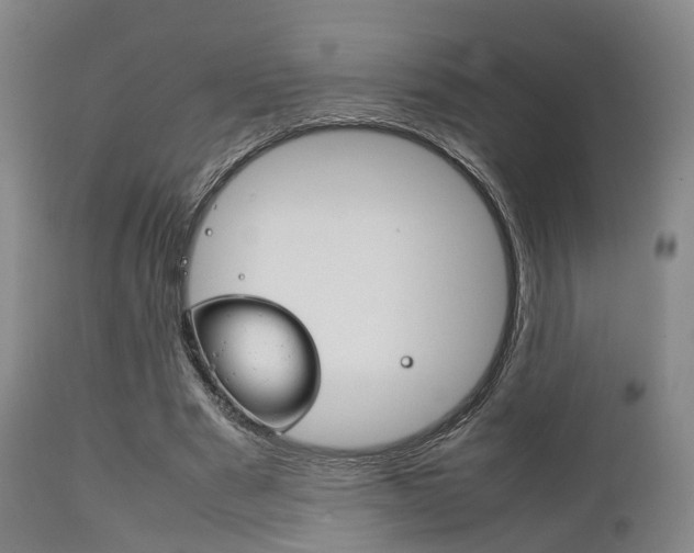 X0000111900489200907271014