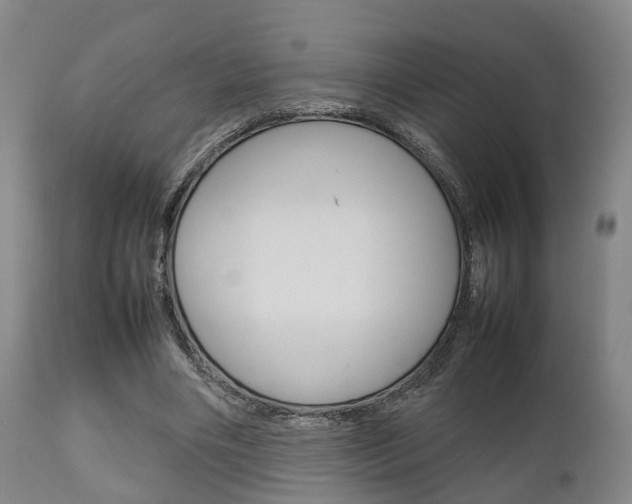 X0000111900490200907271014