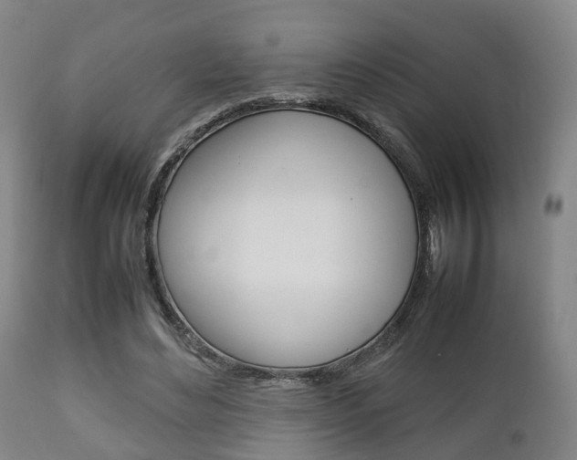 X0000111900492200907271014