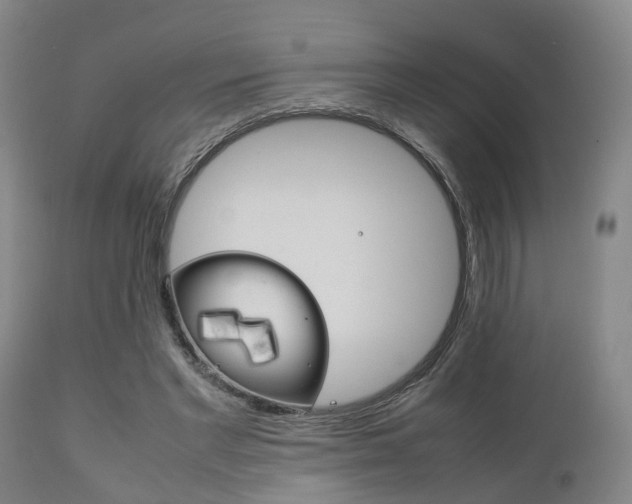X0000111900493200907271014