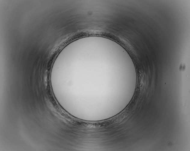 X0000111900494200907271014