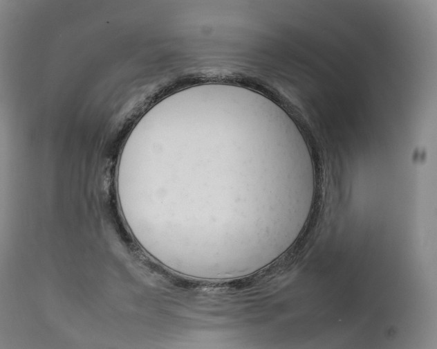 X0000111900495200907271014