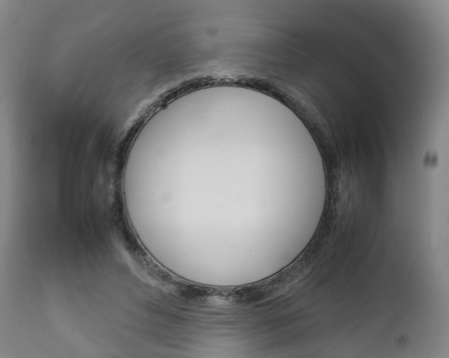 X0000111900496200907271014