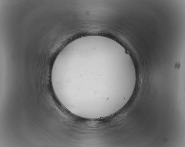 X0000111900497200907271014